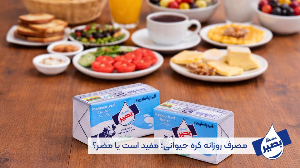 مصرف روزانه کره حیوانی مفید است یا مضر؟ _ لبنیات بصیر